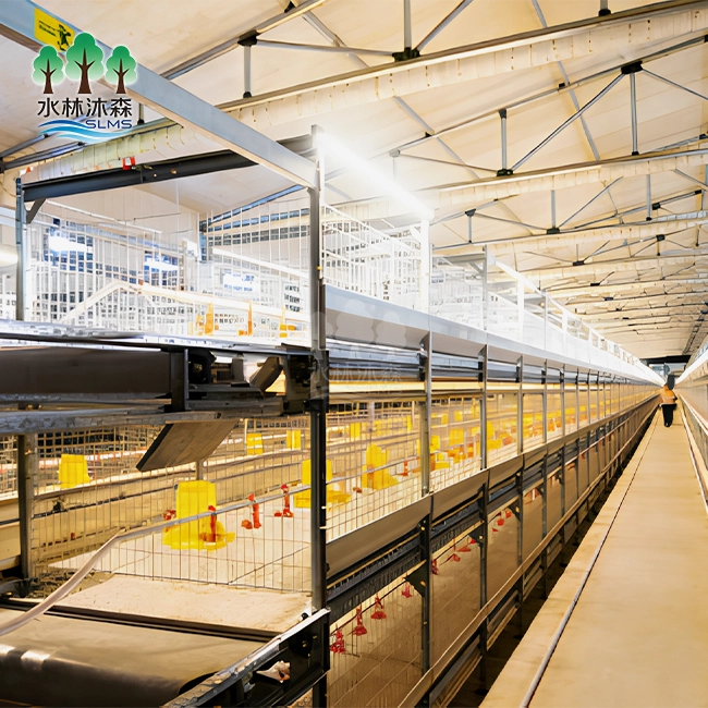 Three-tier Broiler Cage